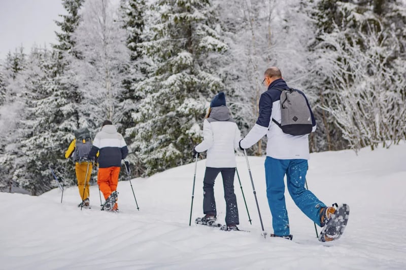 Oslo Snowshoe Hiking Adventure, photo 2