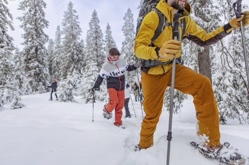 Oslo Snowshoe Hiking Adventure, photo 5