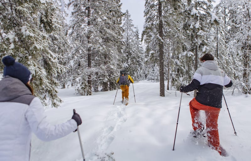 Oslo Snowshoe Hiking Adventure gallery 2