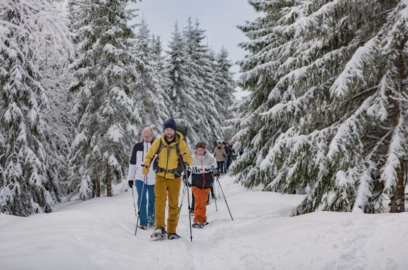 Oslo Snowshoe Hiking Adventure gallery 3