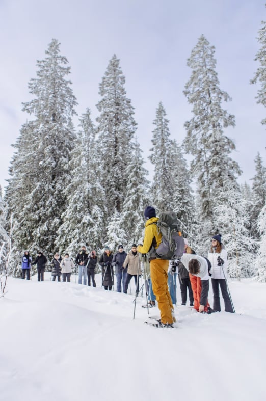 Oslo Snowshoe Hiking Adventure gallery 4