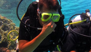 Intro Diving and Snorkelling Day Trip in Sharm El Sheikh, photo 3