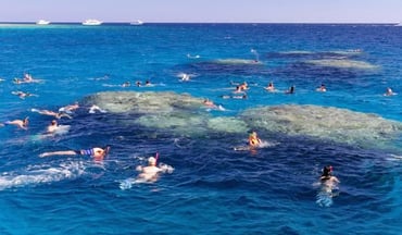Ras Mohamed National Park and White Island Snorkelling Boat Trip, photo 2