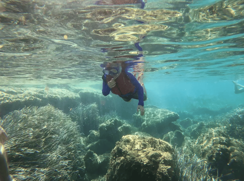 SUP and Snorkel Tour in Es Figueral, Ibiza, photo 4