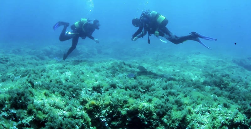 PADI Rescue Diver Course in Santa Ponça, Mallorca, photo 3