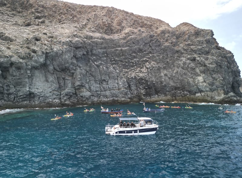 Try Diving for Beginners in Tenerife, photo 3