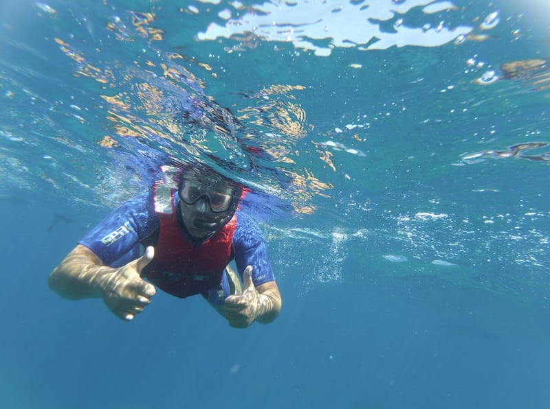 Snorkelling in Tenerife with Rays and Marine Life, photo 5