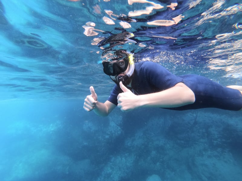 Tenerife Kayak and Turtle Snorkelling Tour, photo 2