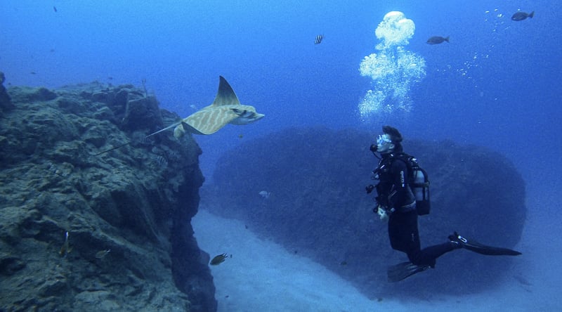 PADI Enriched Air Nitrox Diver Course in Tenerife, photo 4