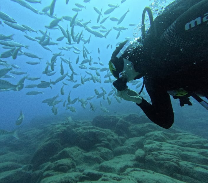 PADI Deep Diver Specialty Course in Tenerife, photo 4