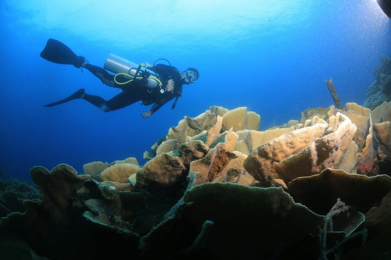 PADI Sidemount Diver Course in Tenerife, photo 4
