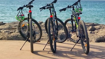 Cap Spartel Coastal E Bike Tour in Tangier, photo 2
