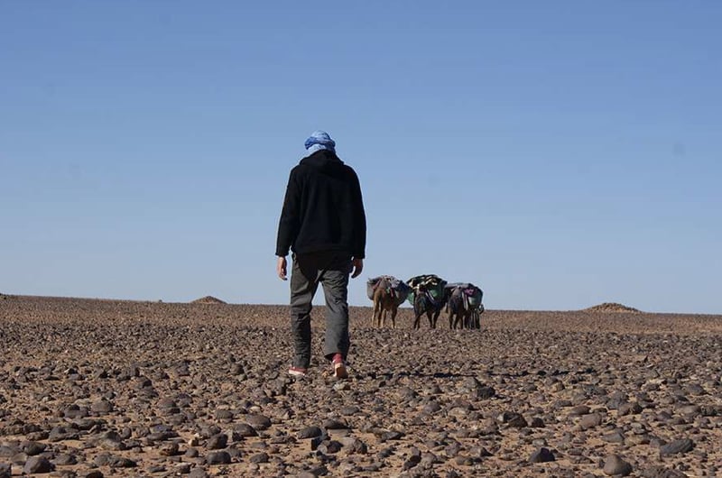 Sahara Trekking from Marrakech to Erg Chegaga, photo 3