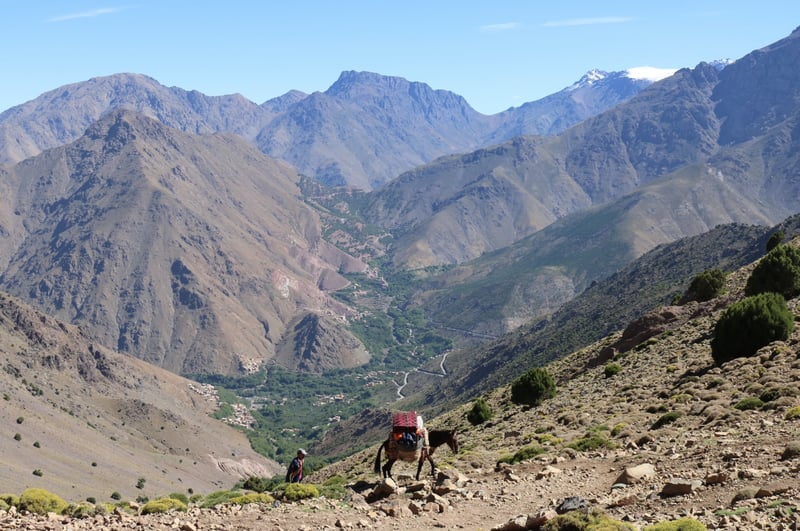 Toubkal National Park Trek from Oukaimeden, photo 4