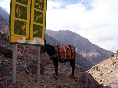 Toubkal National Park Trek from Oukaimeden, photo 5