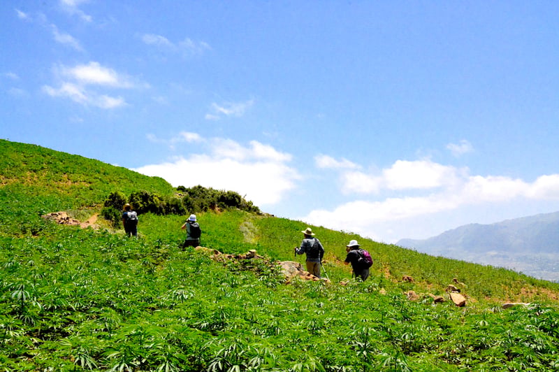 Talassemtane National Park Trek from Tangier, photo 3