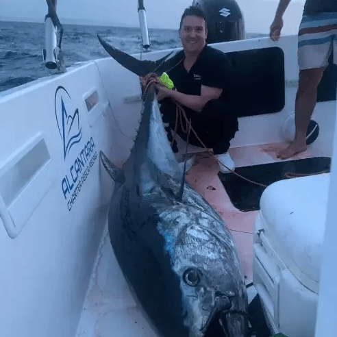 Chiclana Private Bluefin Tuna Fishing Trip, photo 4