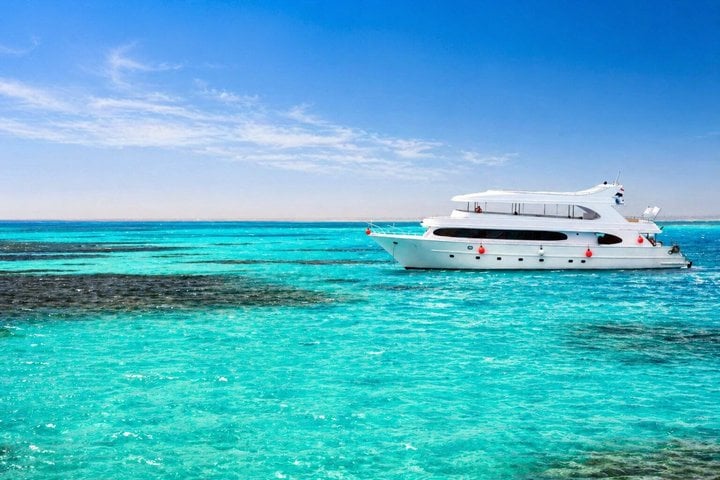 Snorkelling Trip with Dugongs and Turtles in Marsa Alam, photo 2