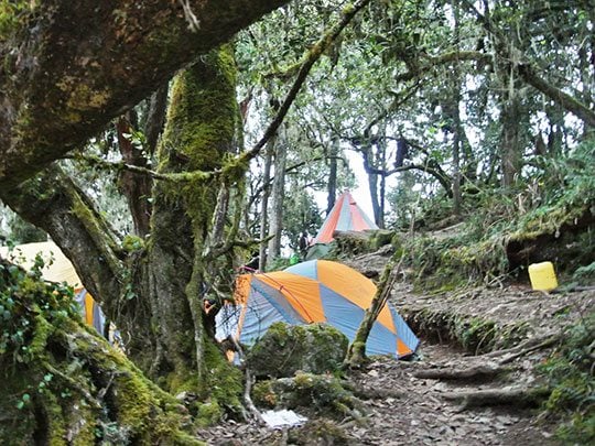 7 Day Kilimanjaro Climb via the Umbwe Route, photo 5