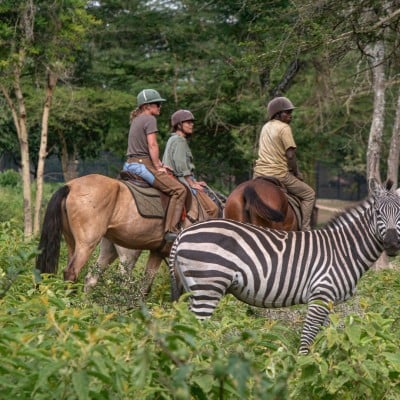 Wildlife Horseback Riding near Arusha, photo 3