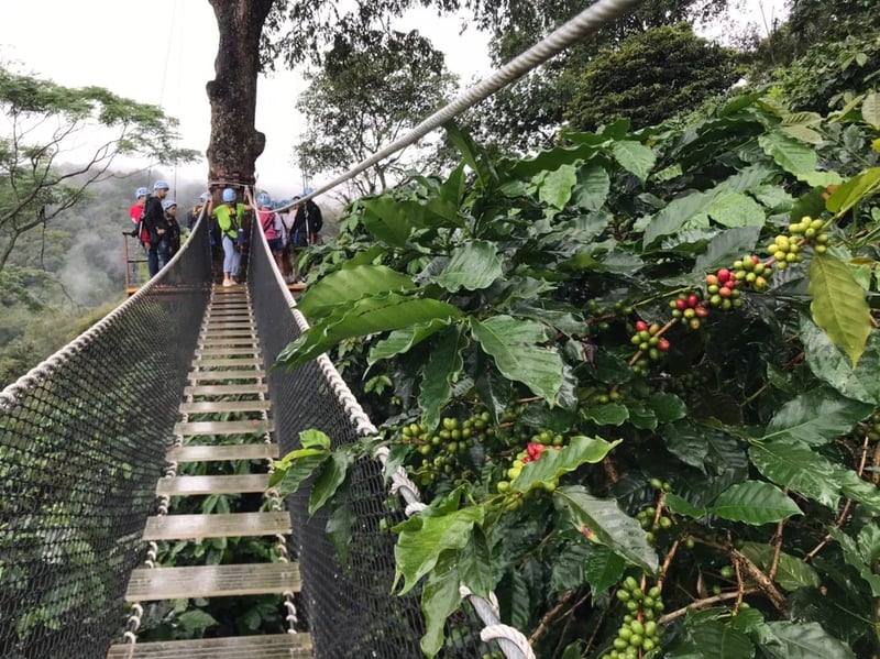 Extreme Zipline and Hot Spring Experience from Chiang Mai, photo 3