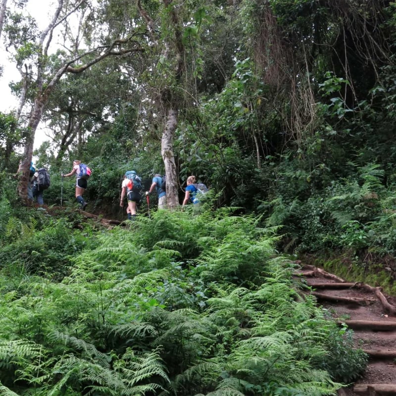 10 Day Kilimanjaro Western Approach Trek, photo 2