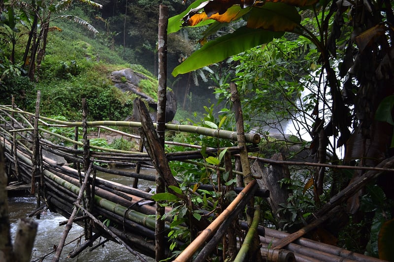 Doi Inthanon Sunrise Hike, photo 4
