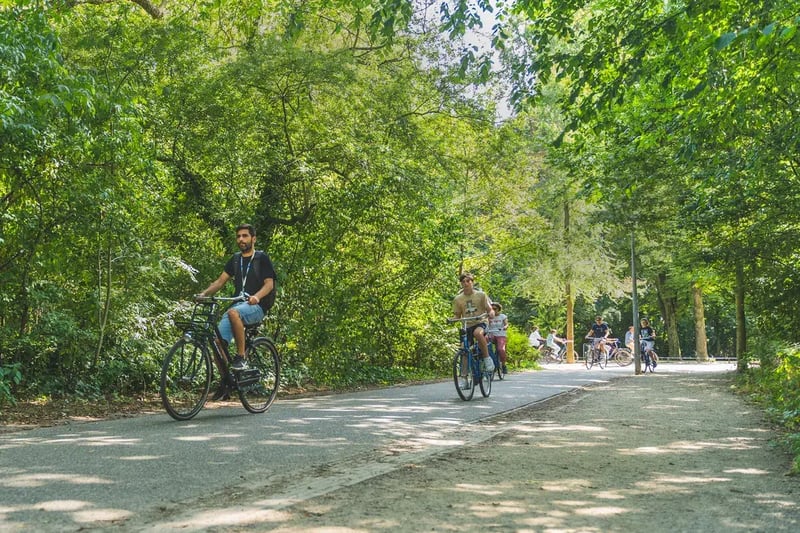 Amsterdam Countryside Bike Tour | Cycle Through Windmills, Villages & Polders, photo 2