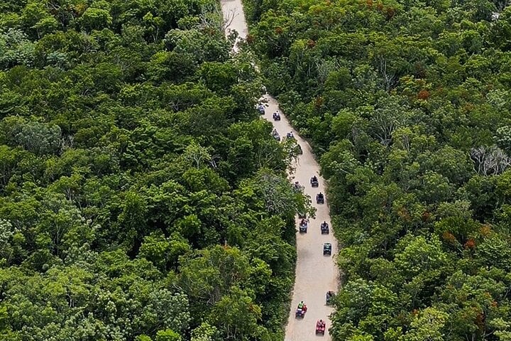 Jungle ATV Cenote and Monkey Sanctuary in Akumal, photo 4