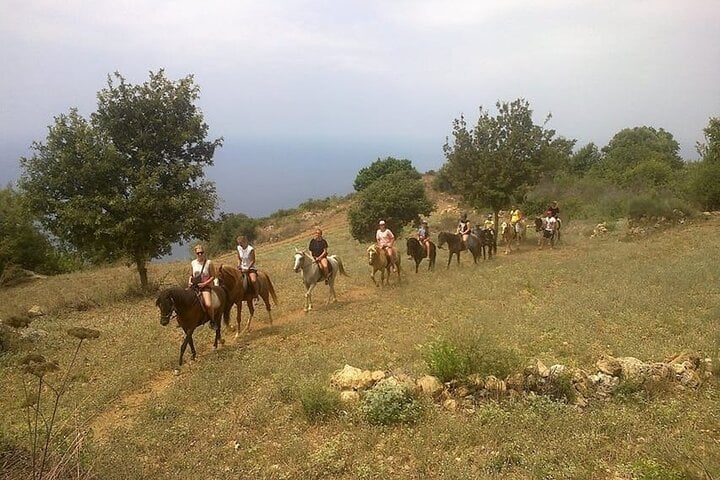 Alanya Horse Riding Experience, photo 3
