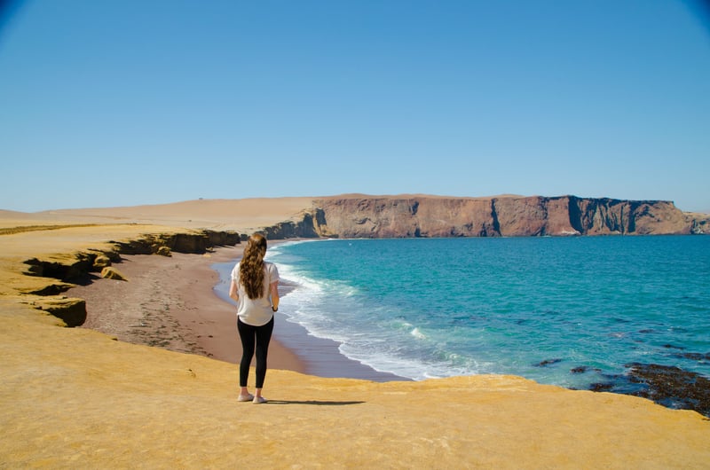 Paracas Reserve Off-Road Buggy or ATV Tour, photo 4