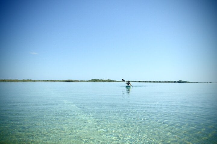 Kayak Journey in Sian Kaan Biosphere, photo 2