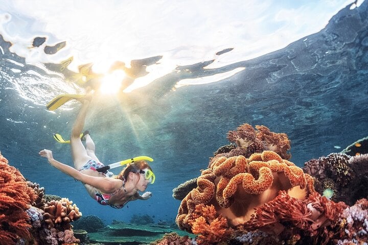 Guided Snorkelling in Negombo: Reef and Lagoon Tour, photo 2