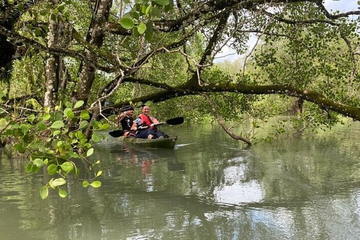 Langkawi Mangrove Kayaking Adventure, photo 2
