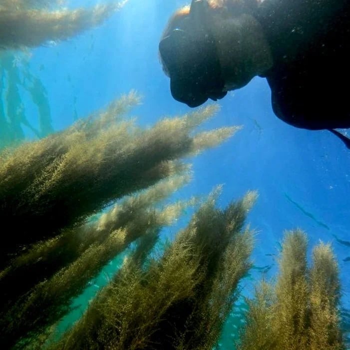 Snorkelling Session in Bouley Bay, Jersey, photo 3