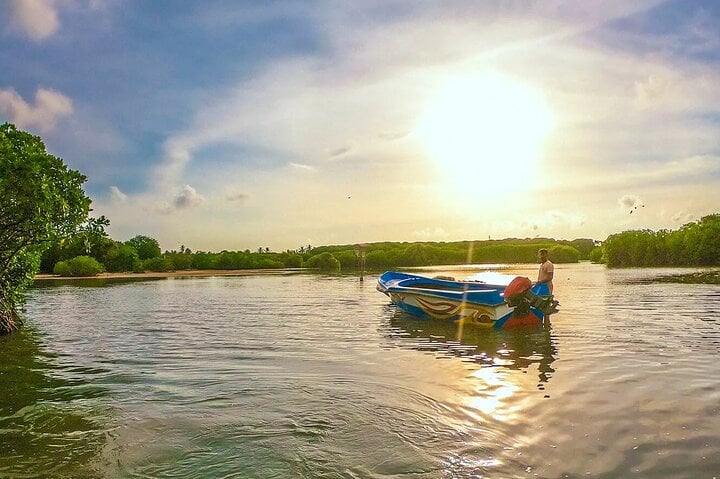 Boat Riding in Negombo: Lagoon Wildlife Cruise, photo 2