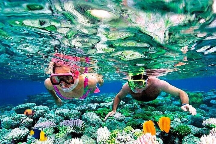 Snorkelling at Pigeon Island, Trincomalee: Guided Marine Safari, photo 4