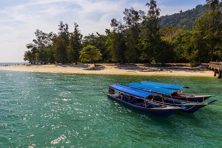 Mud and Mangroves: ATV Jungle Ride and Mangrove Boat Safari Tour, photo 4