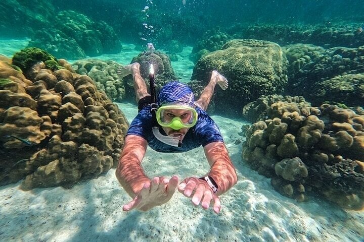 Snorkelling at Pigeon Island, Trincomalee: Guided Marine Safari, photo 2