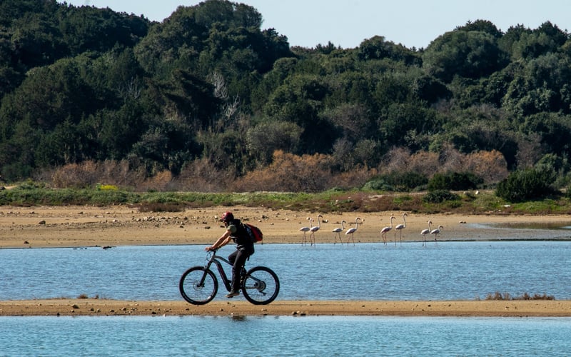 E-Bike Tour of Navarino Bay, photo 3