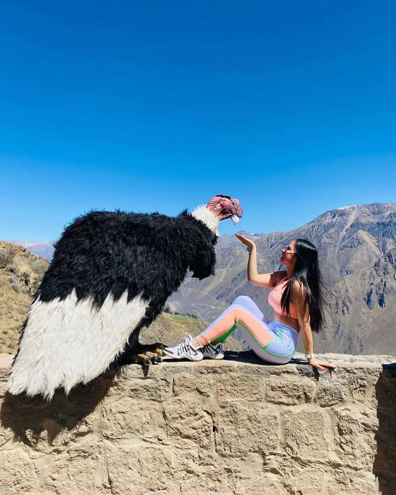 Colca Canyon 2 Day Trek from Arequipa, photo 5