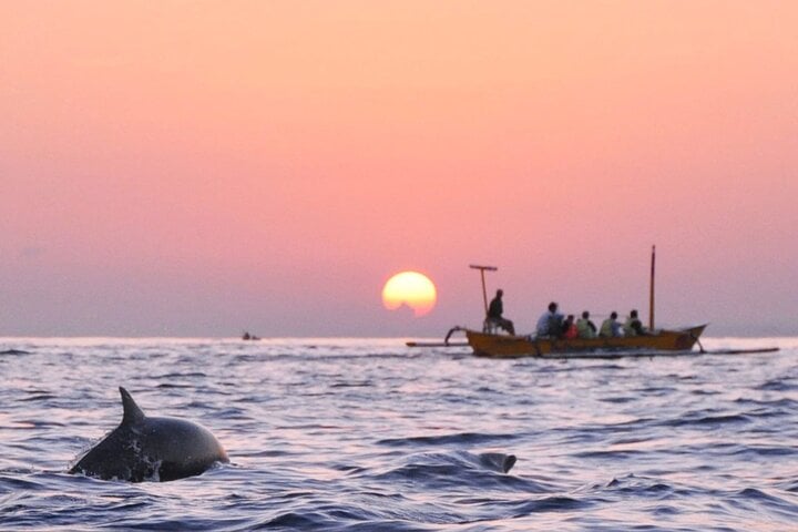 Lovina Dolphin Swim and Snorkel Sunrise with Scenic Viewpoints, photo 5