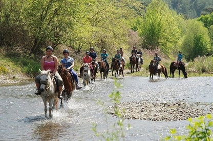 Bodrum Horse Riding Experience with Hotel Transfers, photo 2