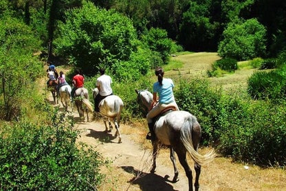 Bodrum Horse Riding Experience with Hotel Transfers, photo 3