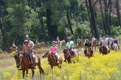Bodrum Horse Riding Experience with Hotel Transfers, photo 4
