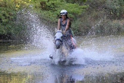 Bodrum Horse Riding Experience with Hotel Transfers, photo 5