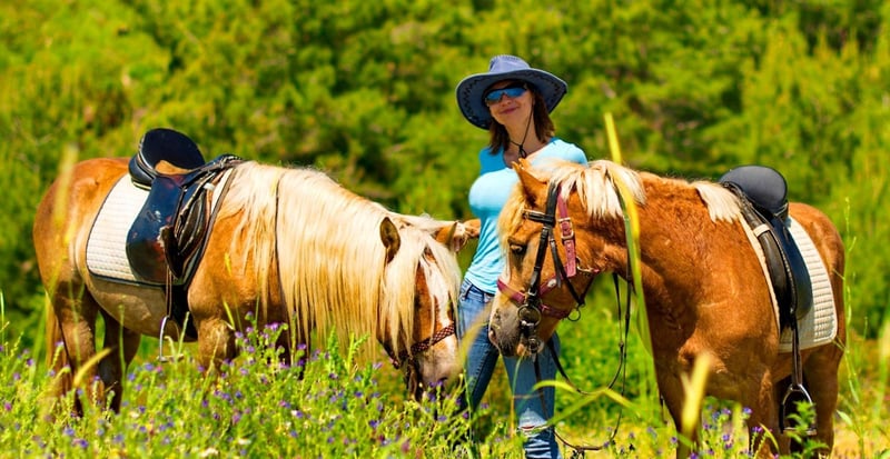 Side Horse Riding Safari through Forest & Beach with Hotel Transfers, photo 3