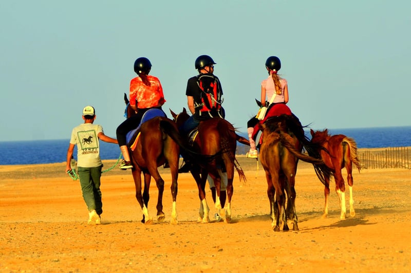 1-Hour Seaside Horse Riding Sharm El Sheikh Desert Safari, photo 4