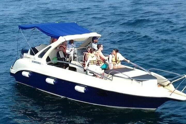 Whale Watching by Speed Boat in Mirissa, photo 4