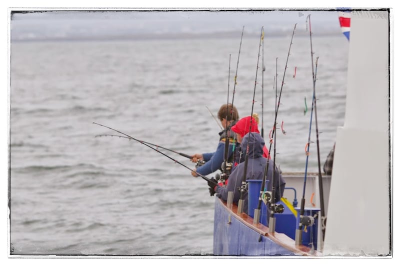 Sunset Fishing in Faxafloi Bay, photo 5